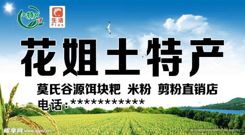 土特產門頭廣告設計指南 關鍵要素與創意靈感